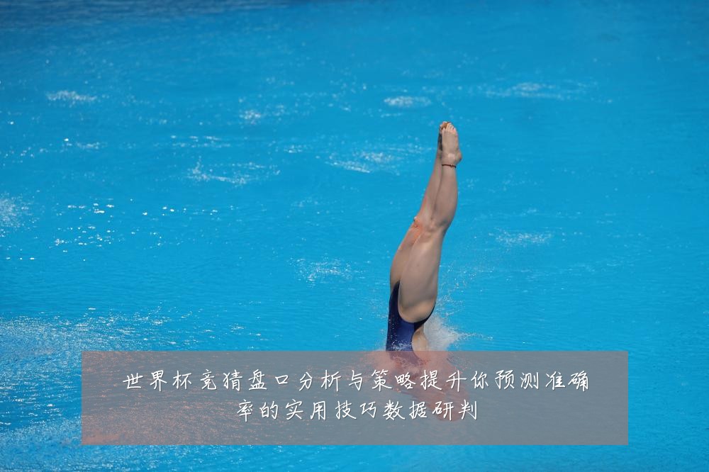 世界杯竞猜盘口分析与策略提升你预测准确率的实用技巧数据研判